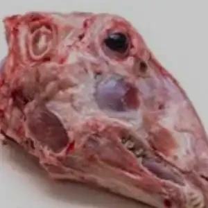 MUTTON HEAD (KHASHIR MATHA)