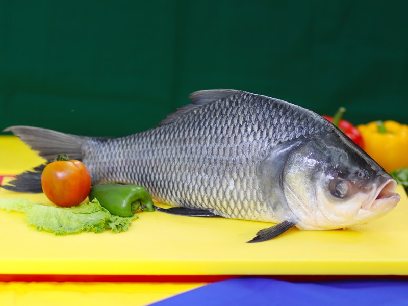 DESHI KATOL FISH (BIG)