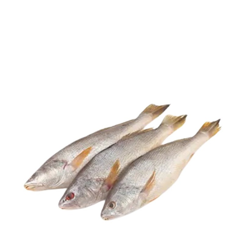 Sundori powa fish 1 kg