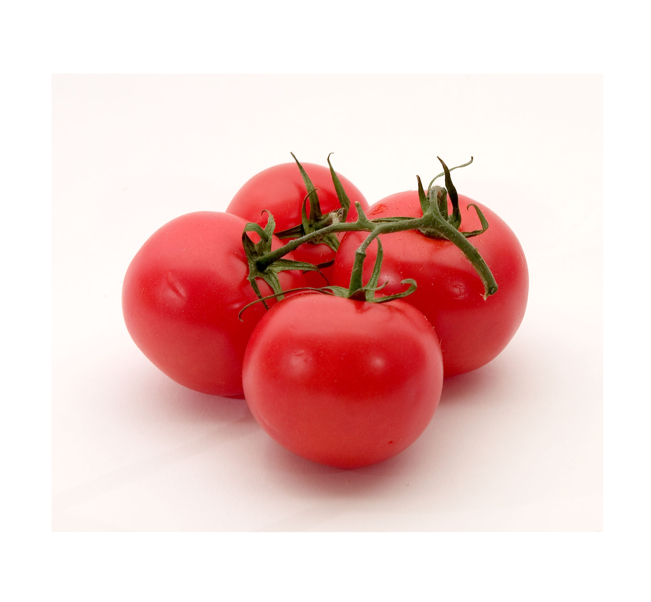 TOMATOES MISTY 1KG