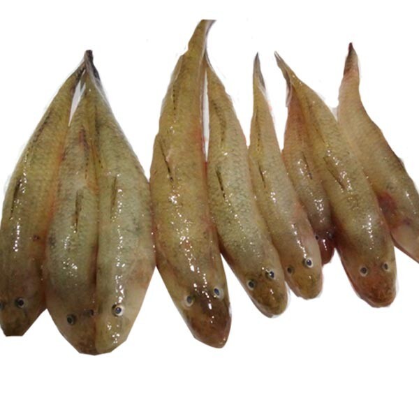 DESHI BELE FISH SMALL  1KG