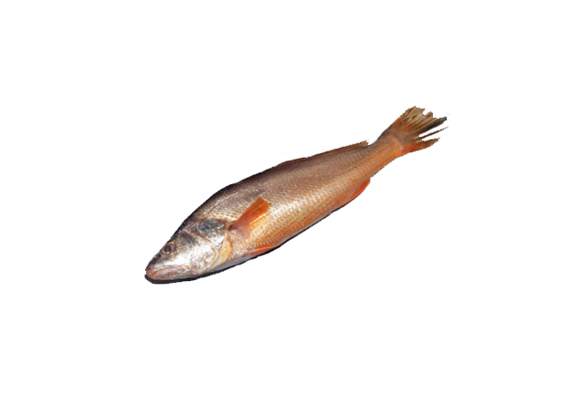 POWA SEA FISH 1KG