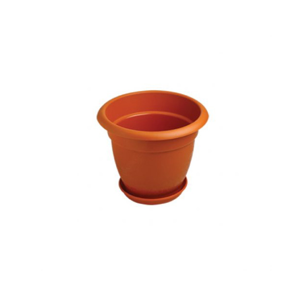 BENGAL TOB PLANTER DHALIA WITH TRAY 10