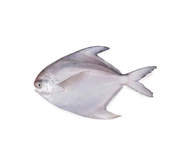 RUPCHANDA FISH 1KG (S)