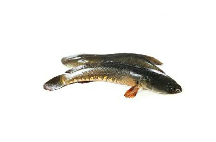 TAKI FISH 1KG