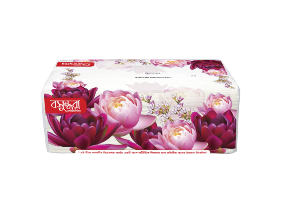 BASHUNDHARA FACIAL TISSUE 240PCS