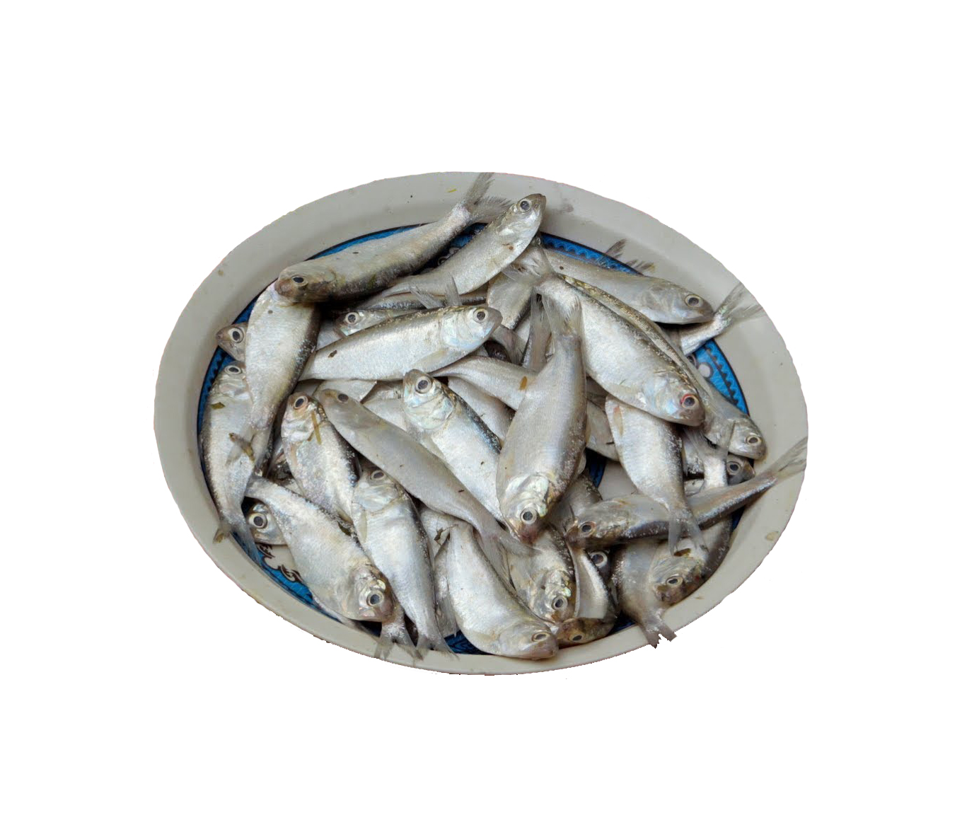 CHAPILA FISH 1KG