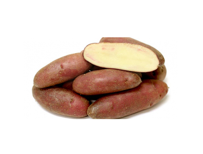 JAM POTATO  (JAM ALU) 1KG