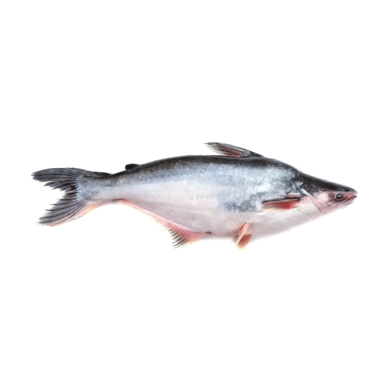PANGASH FISH -(BIG) 1KG