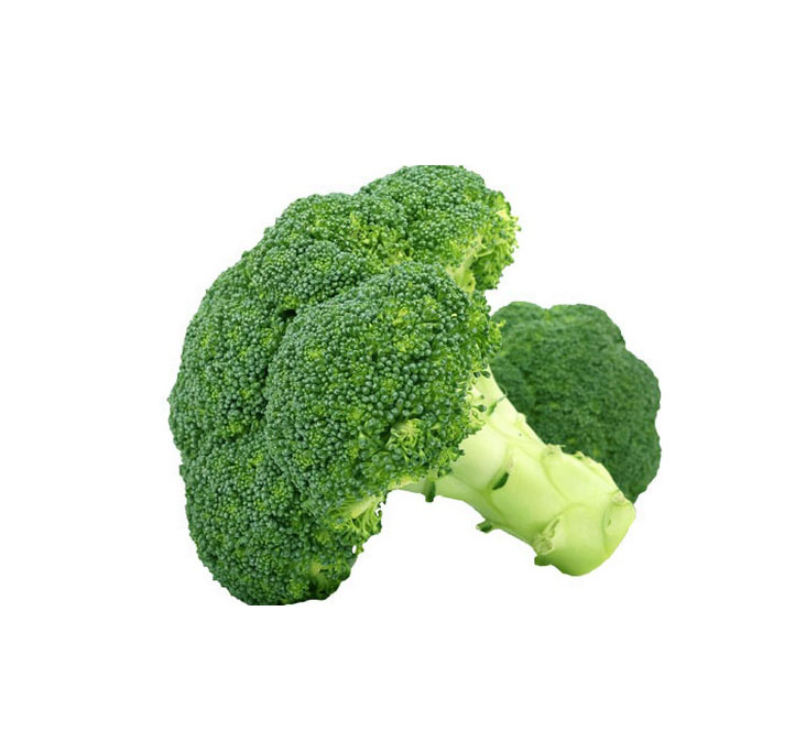 BROCOLI 1PCS