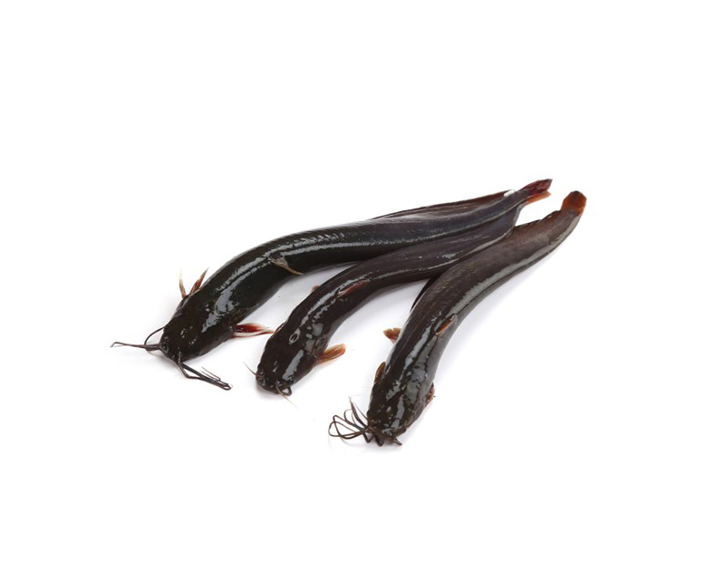 SHING FISH (CHASH) 1KG